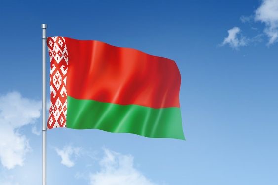 About BLS International