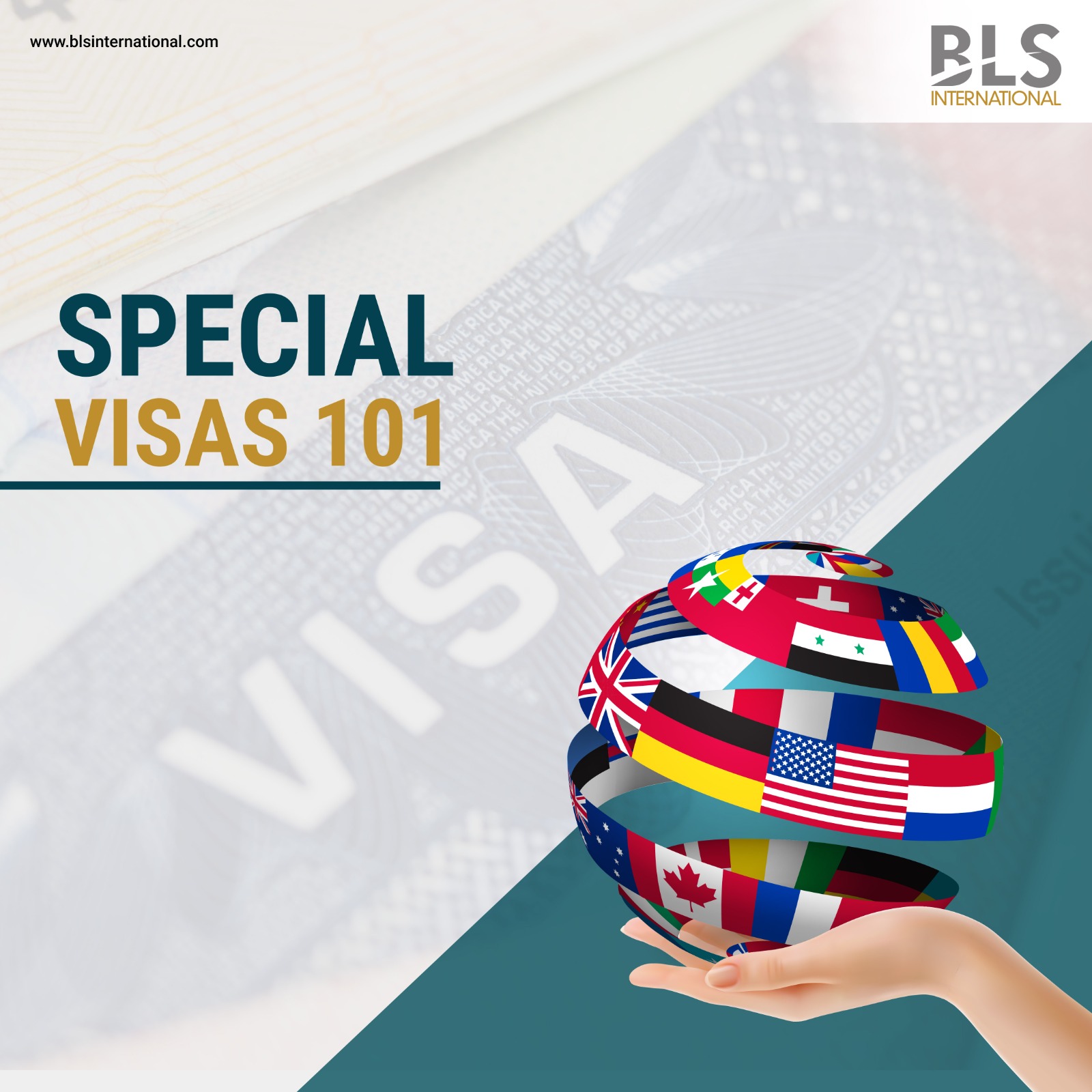 Special Visas 101