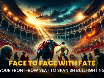 Face to Face with Fate: Your Front-Row Seat to Spanish Bullfighting
